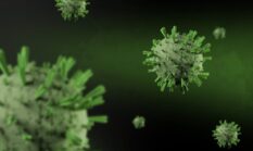 Waspada Virus Nipah 2026: Kenali Gejala yang Menyerang Otak dan Cara Mencegahnya