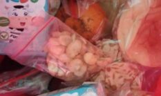 Ahli Gizi dan Kepala SPPG Dipertanyakan, Makanan Siap Saji MBG Pasirgadung Dikeluhkan Wali Murid