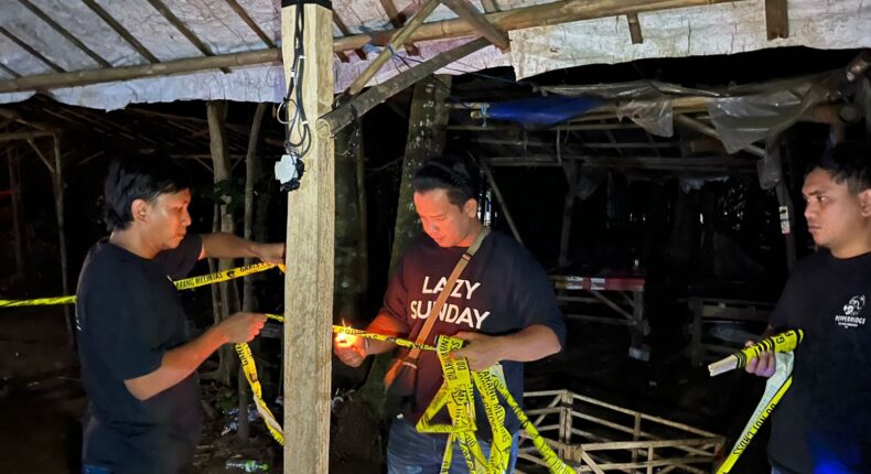 foto slider headline